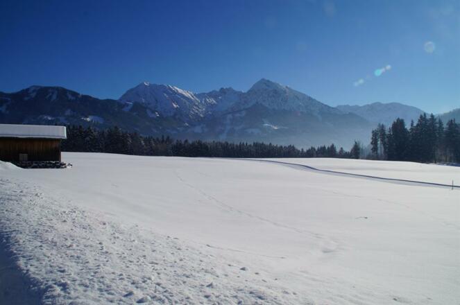 Langlaufloipe am Haus
