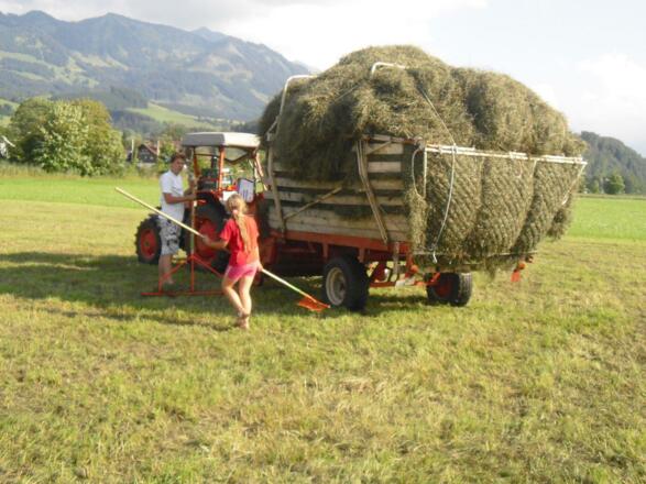 Heuernte macht auch den Kindern Spaß