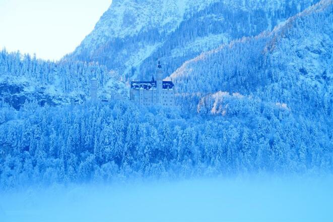 Schloss Neuschwanstein Winter