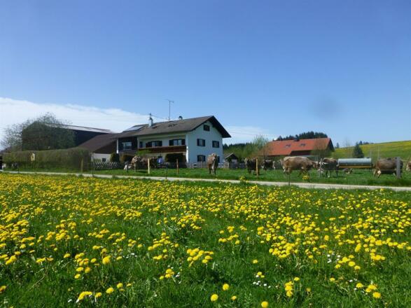 Biohof Landhaus Klöck
