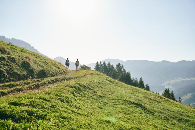Wanderung zur Alpe Schwarzenberger Platte im Lecknertal