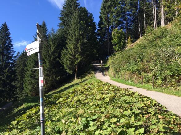 Vom Söllereck nach Riezlern