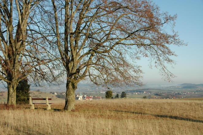 Blick vom Albuch auf das Ries