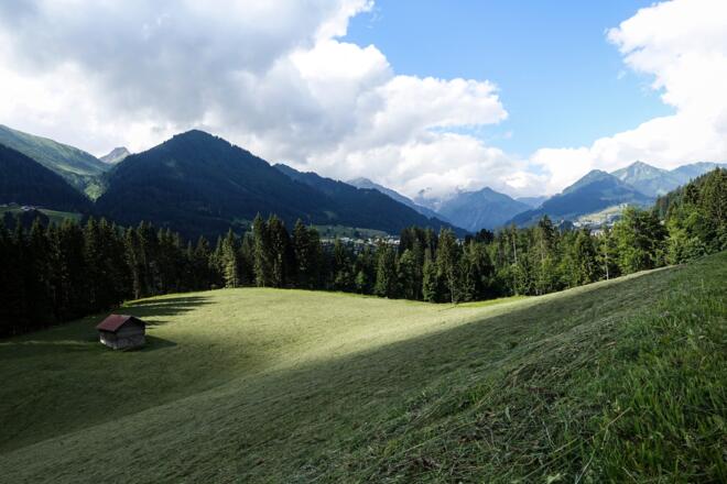Straussberg am Hörnlepass