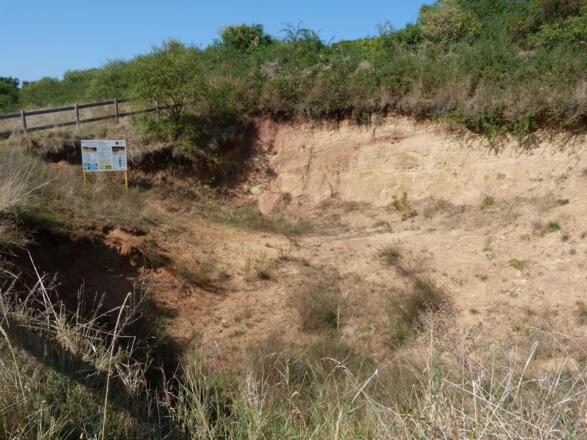 Aufschluss Doggererze