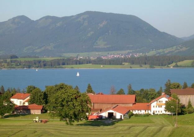 Hof am Forggensee