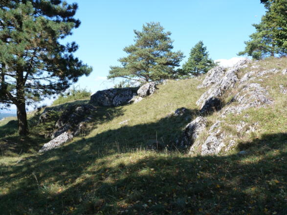 Magerrasen bei Gosheim