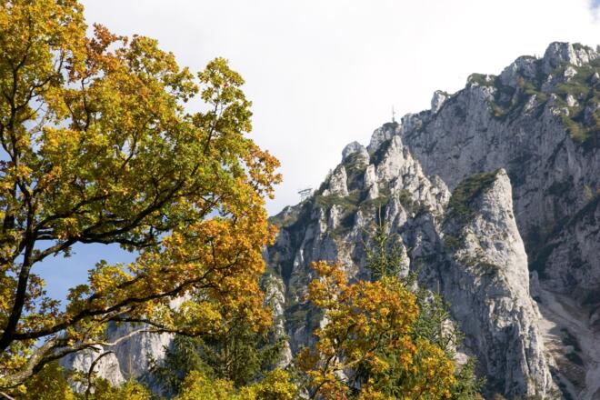 Rauschberg im Herbst