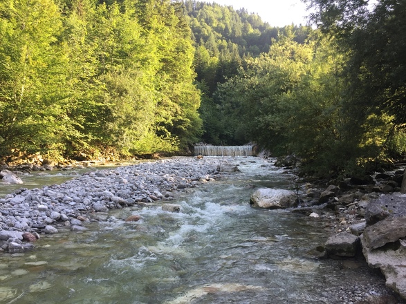 Wilder Badeplatz Friedlwirt