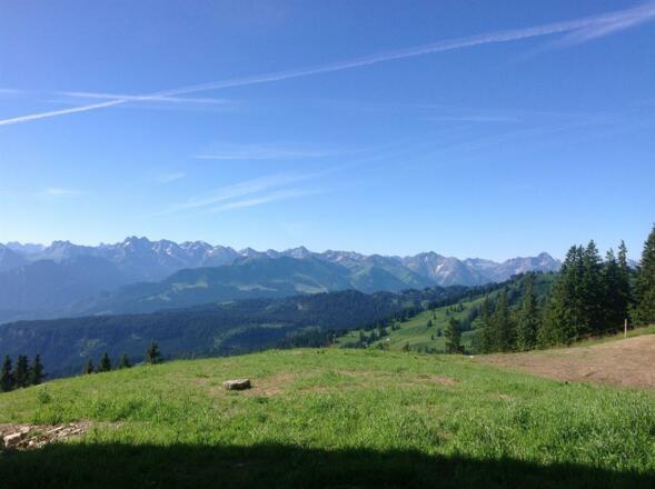 Weiherkopf bei Bolsterlang