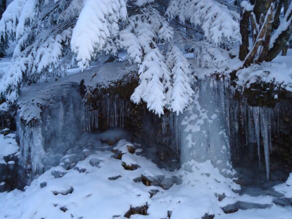 Arberhoschstrstraße