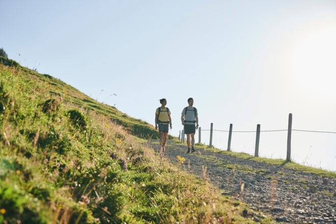 Wanderung zur Alpe Schwarzenberger Platte im Lecknertal