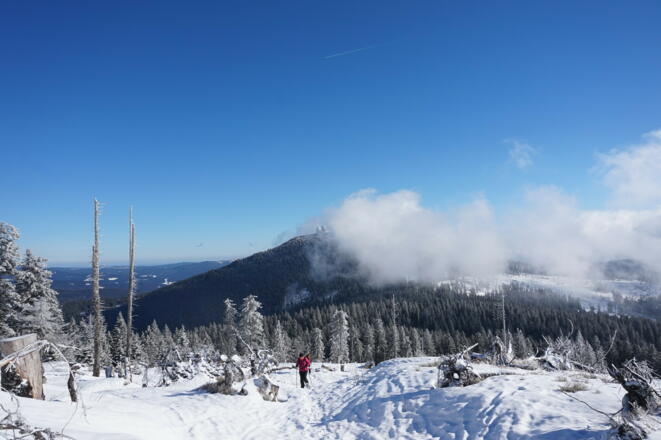 Blick vom Kl zum Gr. Arber