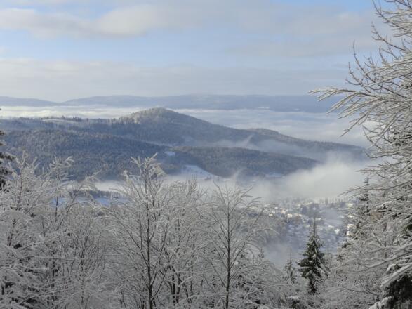 Aussichtspunkt Arberhochstraße