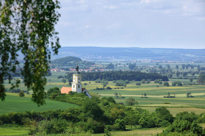 Blick auf die Wemdinger Platte und die Wallfahrtsbasilika Maria Brünnlein