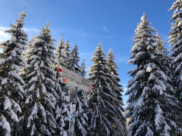 Höhenweg Söllereck