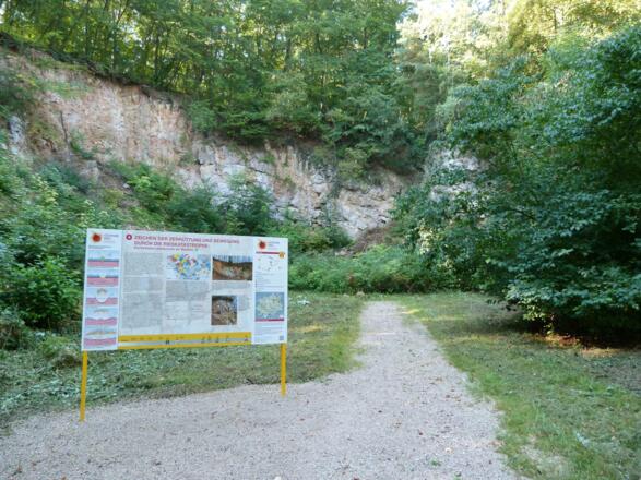 Kalksteinbruch am Waldsee