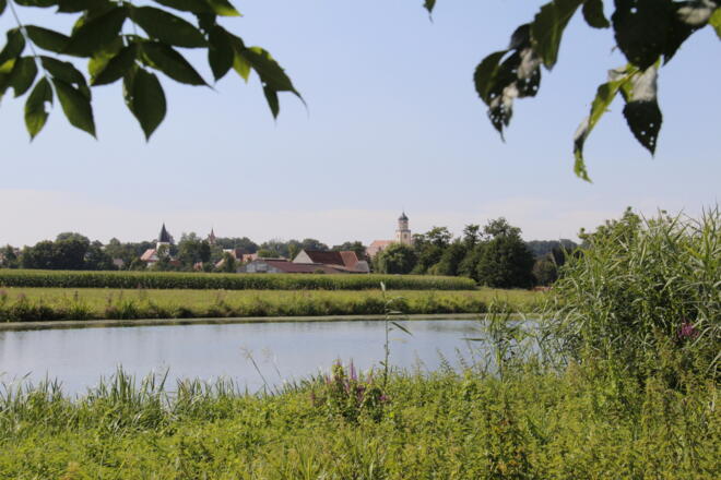 Die Wörnitz mit Blick auf Oettingen