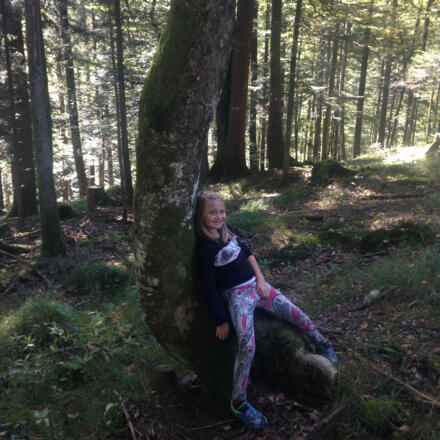 Sitzgelegenheit in der Natur