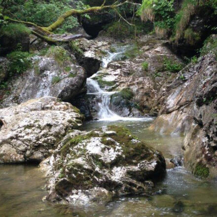 Kesselbach in Rußbach