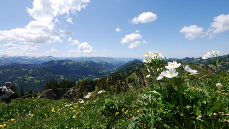 Ausblick vom Siplinger Kopf