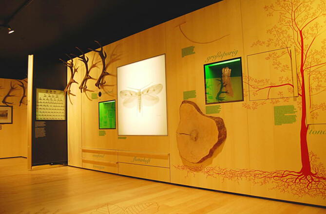 Das Museum lädt zum Entdecken ein, es geht hier besonders um den Ahornboden, die Jagd und die Geschichte in Hinterriß