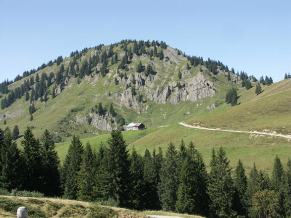 Blick auf den Siplinger Kopf