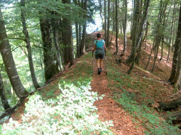 schmaler Rücken oberhalb des Grabens