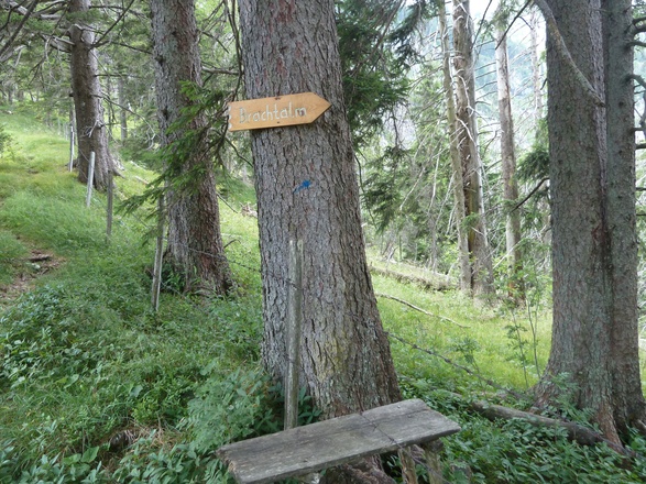 Abzweig Steig zum Silleck