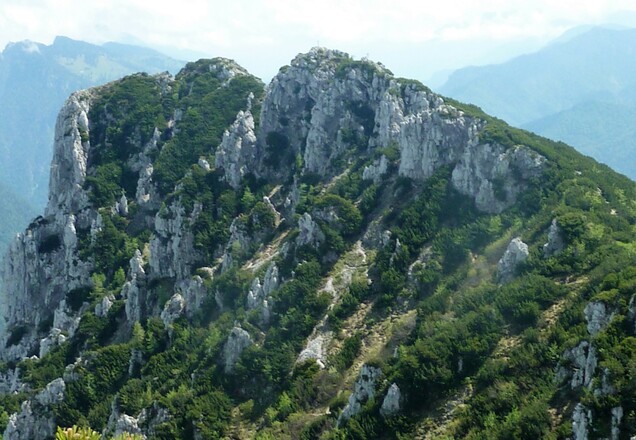 Blick zur Hörndlwand