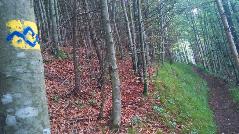 Aufstieg über den Sackgrabensteig