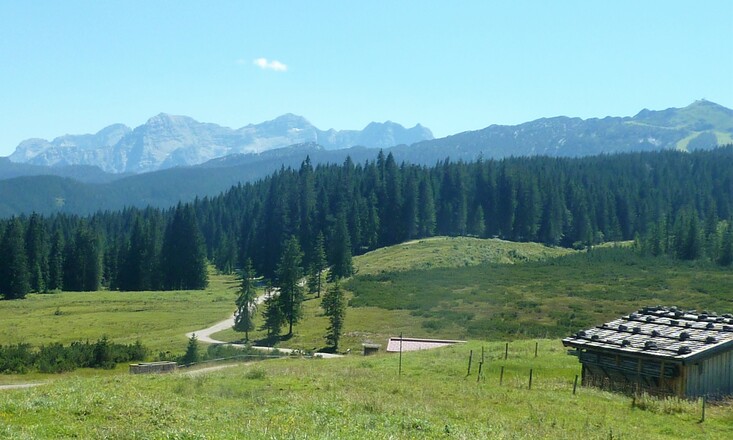 Auf der Winkelmoosalm