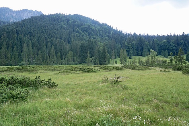 Röthelmoos (Naturschutzgebiet)