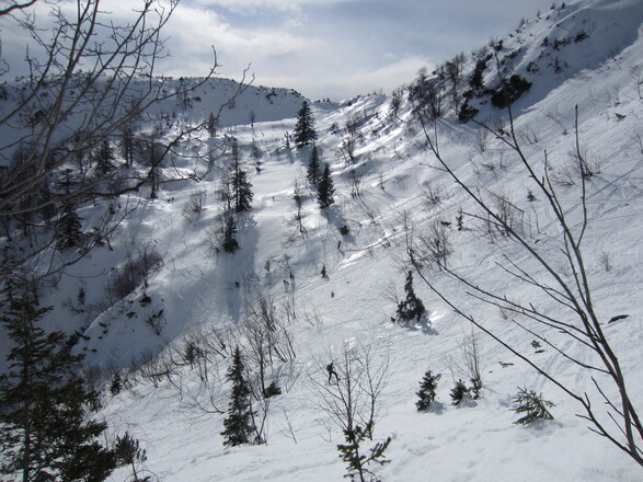 Sattel vor Torauschneid (links Wald- und Wildschongebiet)
