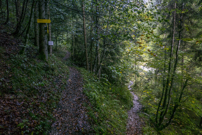 Diese Gabelung ist der Beginn einer Runde. Rechts geht es in das Mittlere Kraxenbachtal am Rückweg kommt man von Links wieder durch das Hintere Kraxenbachtal wieder zurück..