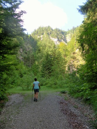 Forststraßenende am Schluchteingang