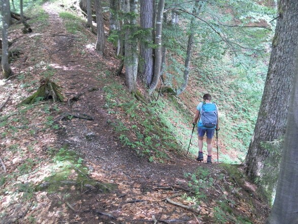 Eintauchen in den Graben