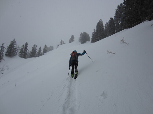 Aufstieg zur Nesslauer Scharte (rechts) und weiter zum Gröhrkopf (vorne)