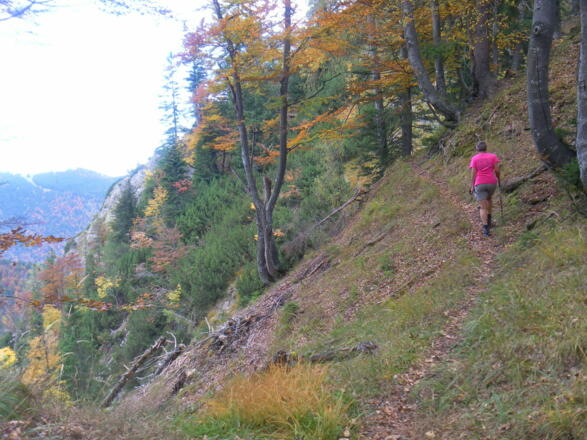 kurz in die Westflanke