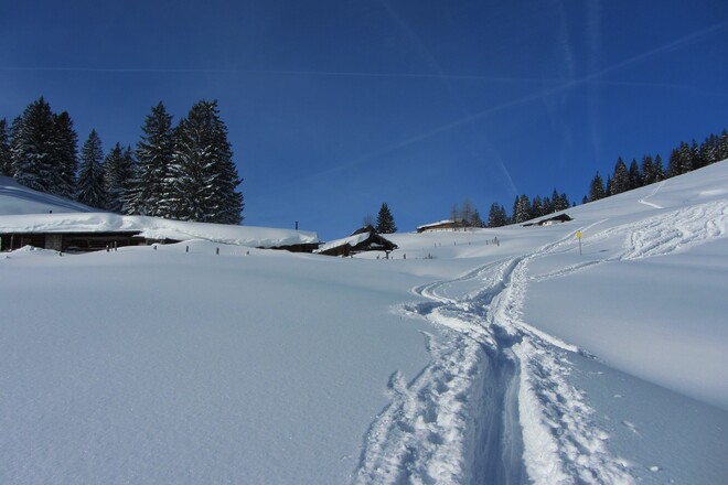 Die oberen Haaralmen mit Sicht zur Aufstiegslinie am Rücken