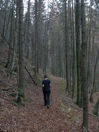 herbstlicher Karrenweg