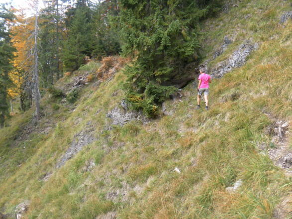 exponierter Wiesenhang