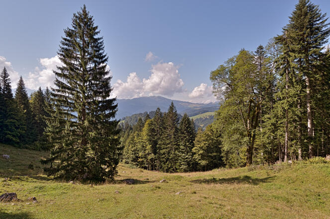 Blick auf das Heutal von der Hochalm aus
