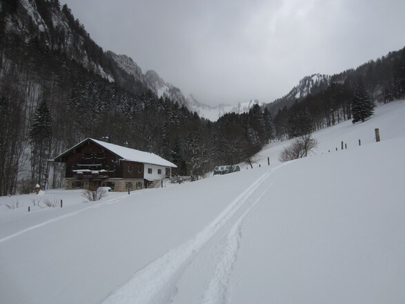 Abfahrt im Nesslauer Graben auf freien Hängen neben der Forststraße