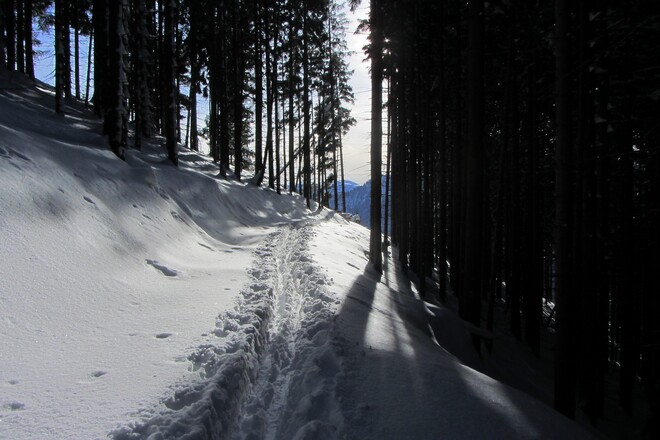 kurzer Gegenanstieg zum Stockhang