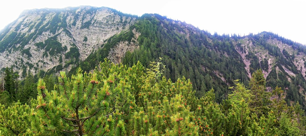 Dürrnbachhorn vom Hausgrabenkopf