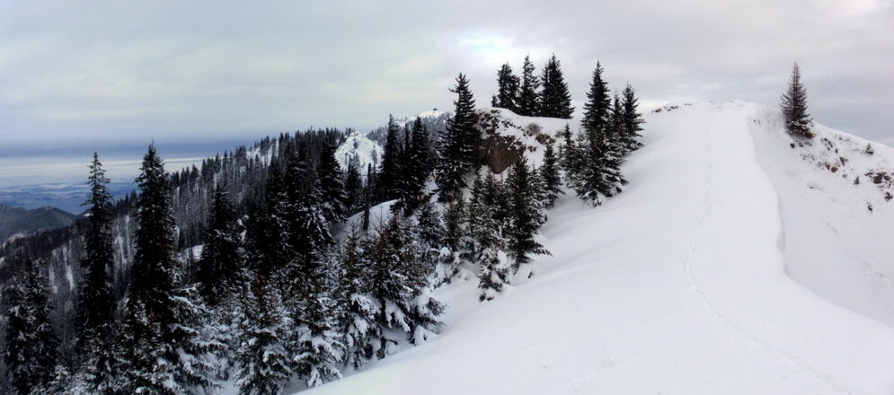 Gipfel des Gröhrkopfes vom Kreuz. Links der Hochfelln