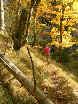 Südhang des Richtstrichkopfs