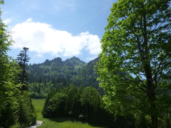 Hochgern am Ende des Fahrweges