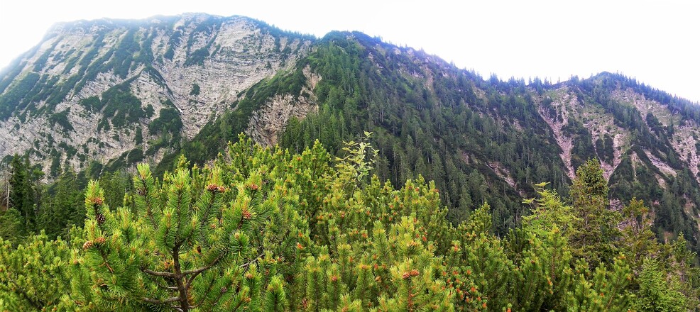 Dürrnbachhorn vom Hausgrabenkopf